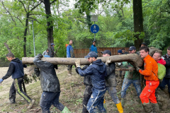 2023-05-20_Botteghino-di-Zocca-15.26.19