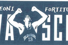 Curva-Schull