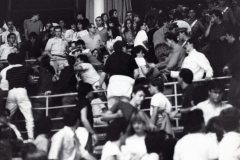 1967a78d312249b29465bb890a3203ee