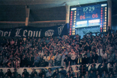 50118c6cfc234bb994265fce92ed0770