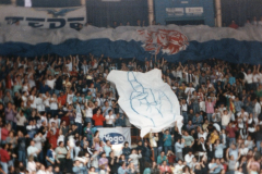 9cfe5505ca1a4b77b7d8ac04a3328d3e